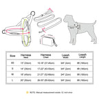 Lightweight Mesh No-Pull Dog Harness