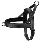 Lightweight Mesh No-Pull Dog Harness