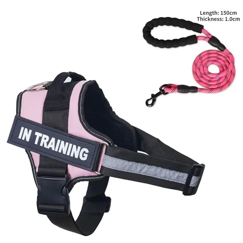 Custom Luxury Dog Harness + Leash | Mini Set