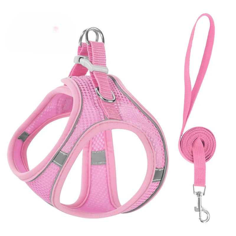 Step-In Breathable Mesh Dog Harness & Leash Set