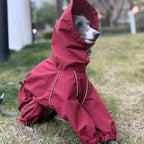 Reflective Waterproof Dog Raincoat – Full-Body Windbreaker Jumpsuit for Greyhounds, Whippets, & All Breeds