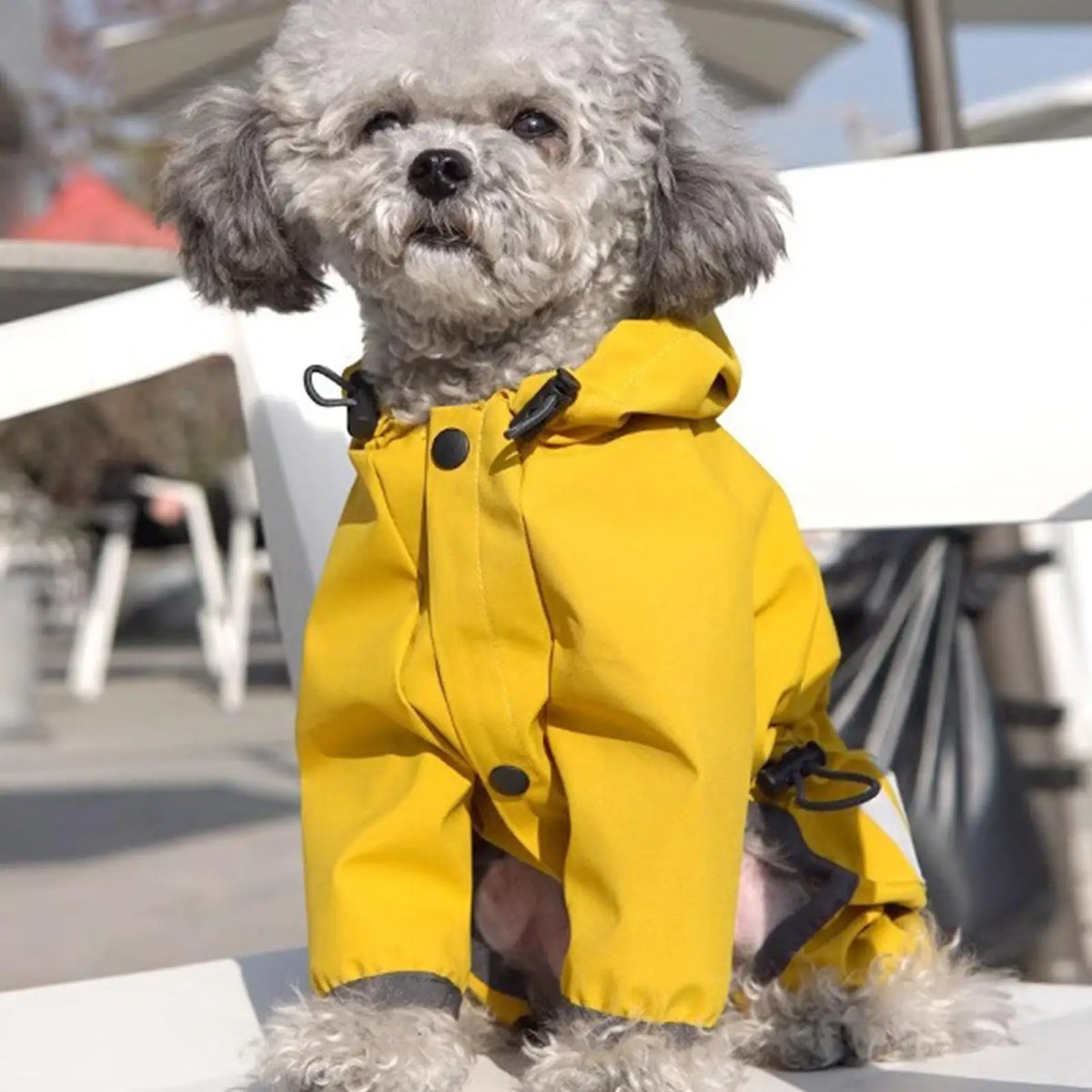 Golden Storm™ Waterproof Dog Raincoat with Adjustable Hood