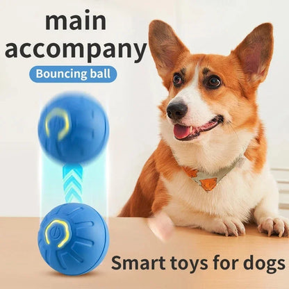 Smart Toy Ball