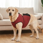 Breathable Summer Mesh Cooler Jacket for Heat Relief | Anxiety Thunder vest