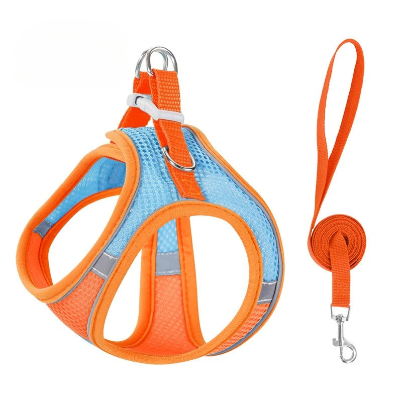 Step-In Breathable Mesh Dog Harness & Leash Set