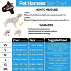 Custom Luxury Dog Harness + Leash | Mini Set