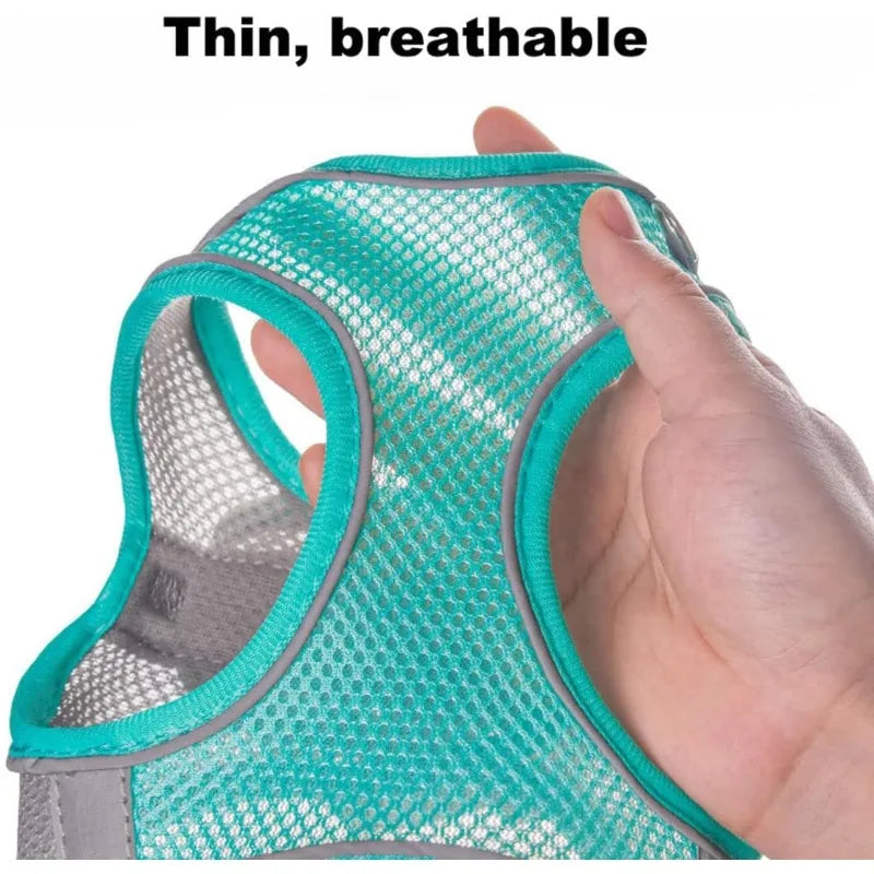 Step-In Breathable Mesh Dog Harness & Leash Set