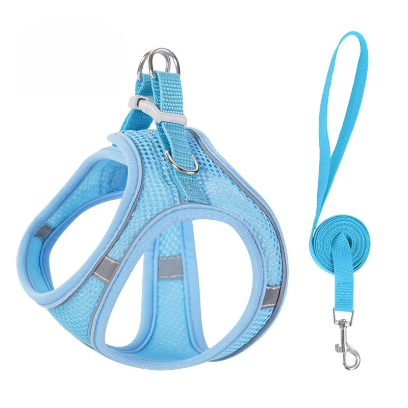 Step-In Breathable Mesh Dog Harness & Leash Set