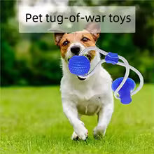 Tug of War TPR Ball Molar Teeth Cleaning Toy for Dogs Self Play Separation Anxiety