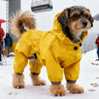 Golden Storm™ Waterproof Dog Raincoat with Adjustable Hood