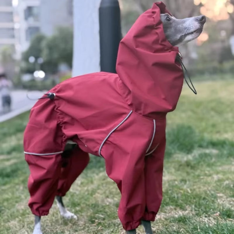 Reflective Waterproof Dog Raincoat – Full-Body Windbreaker Jumpsuit for Greyhounds, Whippets, & All Breeds