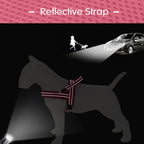 Lightweight Mesh No-Pull Dog Harness