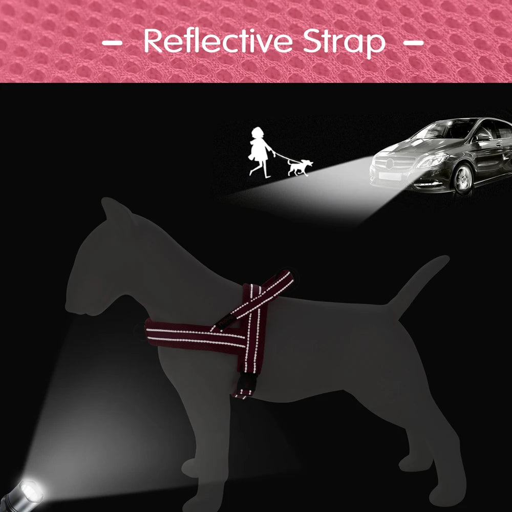 Lightweight Mesh No-Pull Dog Harness