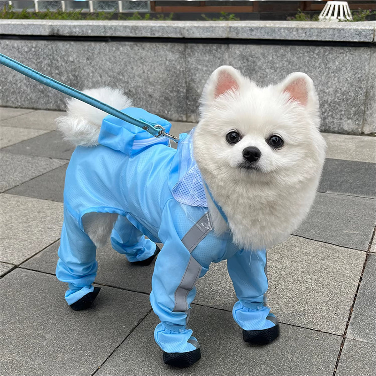 Raincoat Four-legged Waterproof | Full Coverage Jacket