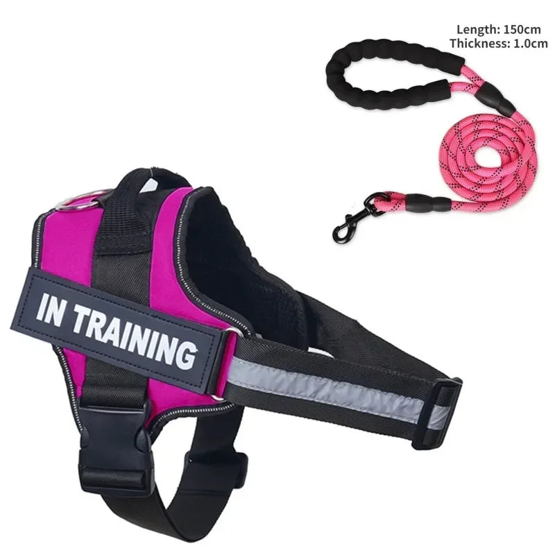 Custom Luxury Dog Harness + Leash | Mini Set