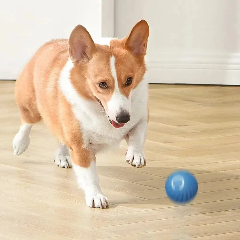 Smart Toy Ball