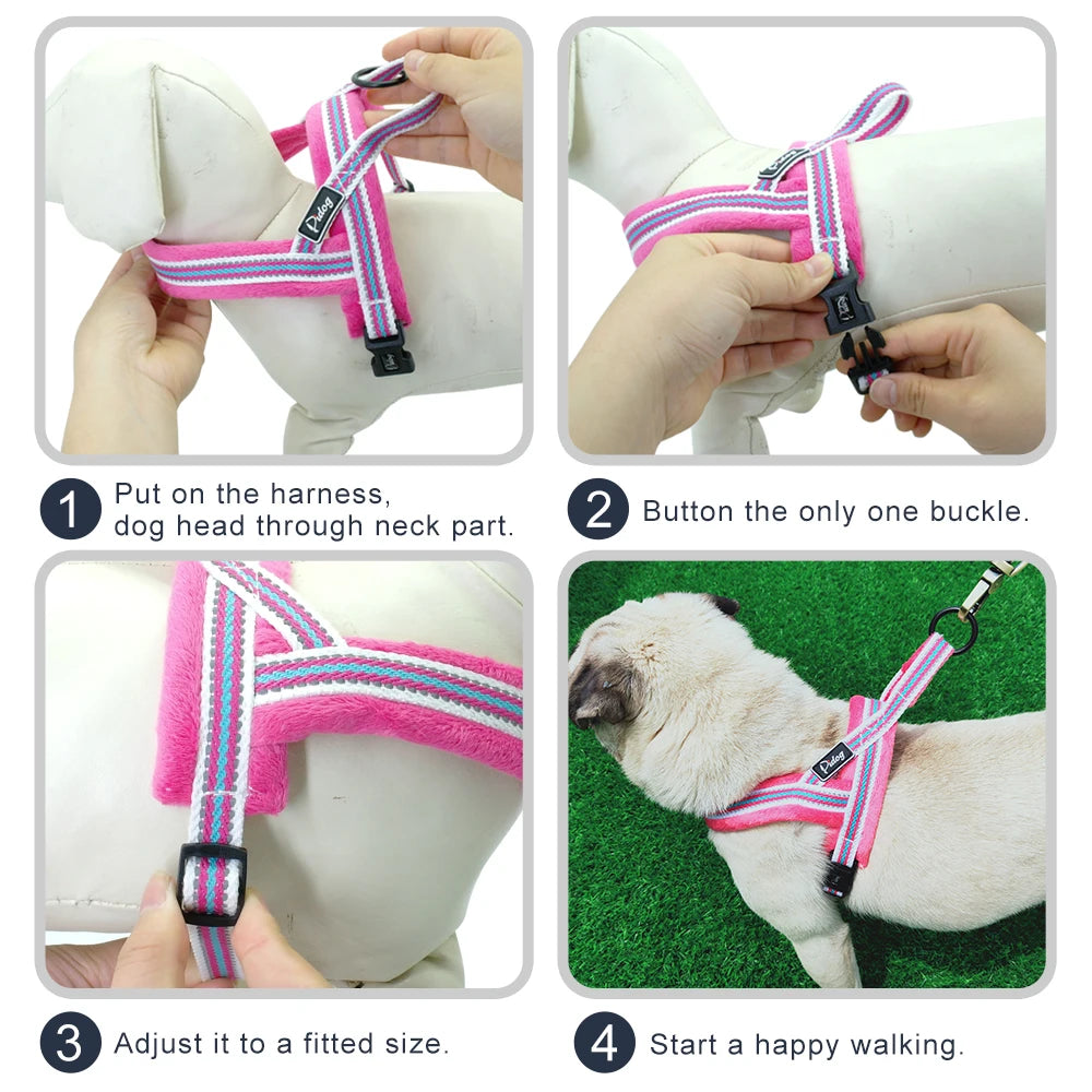 The Cloud-Fit Dual-Clip Harness