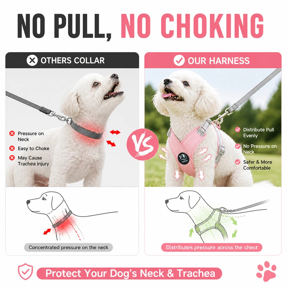 Pastel X-Shape Padded Dog Harness and Matching Leash Set
