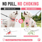Pastel X-Shape Padded Dog Harness and Matching Leash Set