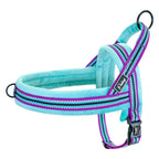 The Cloud-Fit Dual-Clip Harness