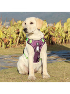 Dog Harness Medium Small Large Lead No Pull with Handle Car Coat Collar Strong