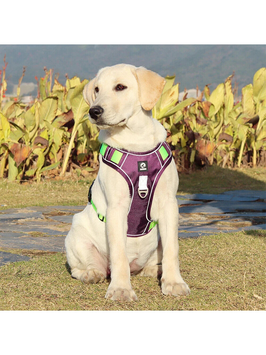 Dog Harness Medium Small Large Lead No Pull with Handle Car Coat Collar Strong