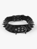 TitanStrike™ Gold Croc-Embossed Spiked Dog Collar | Pure Leather