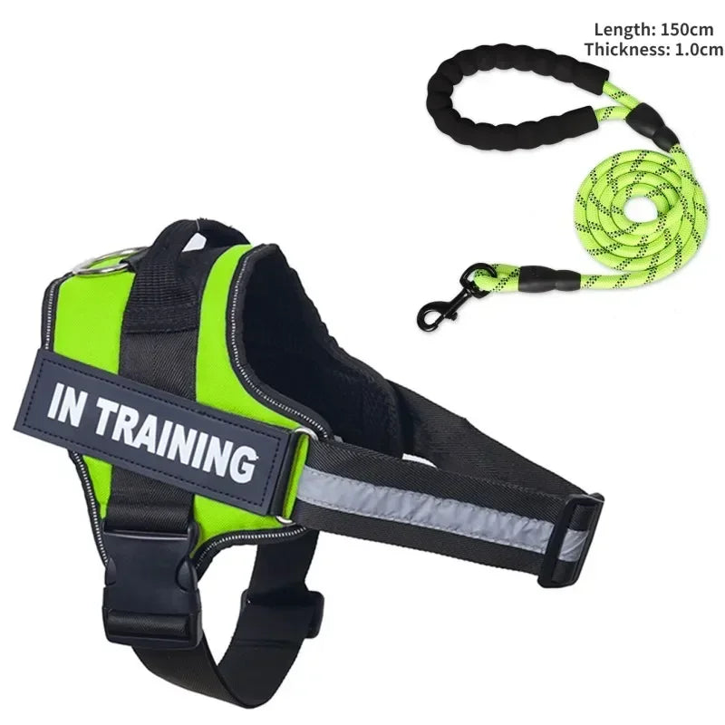 Custom Luxury Dog Harness + Leash | Mini Set