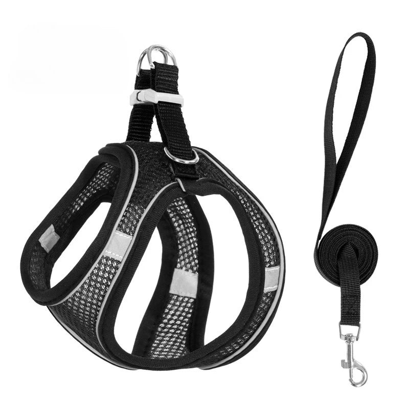 Step-In Breathable Mesh Dog Harness & Leash Set