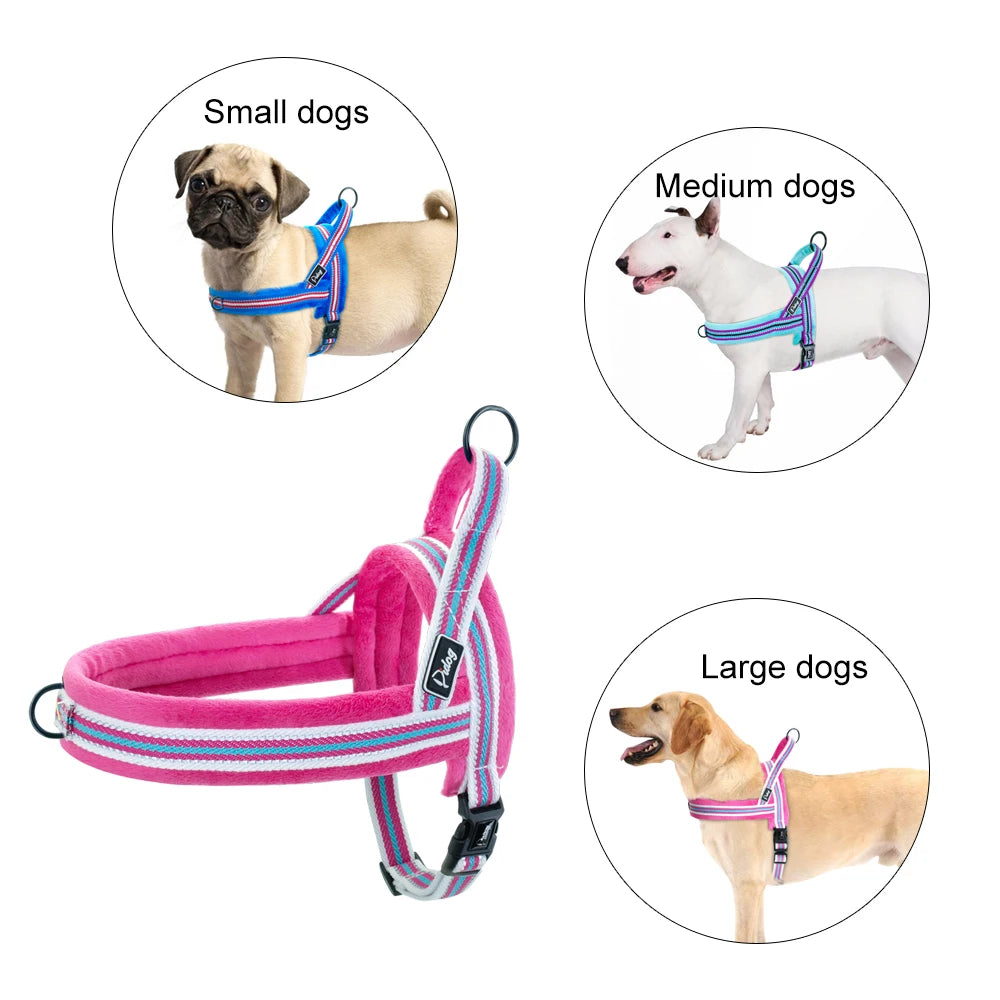 The Cloud-Fit Dual-Clip Harness