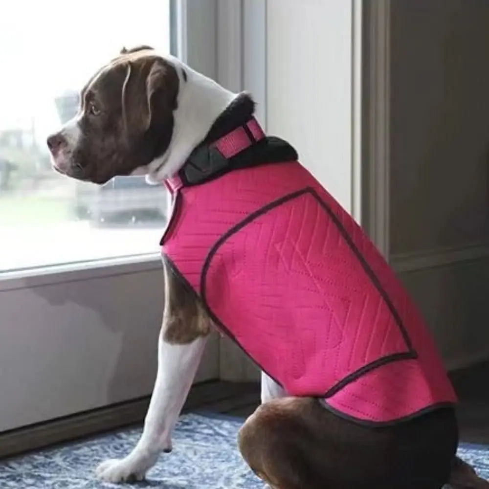 Elastic Dog Anxiety Jacket Reflective Breathable Dog Thunder Vest