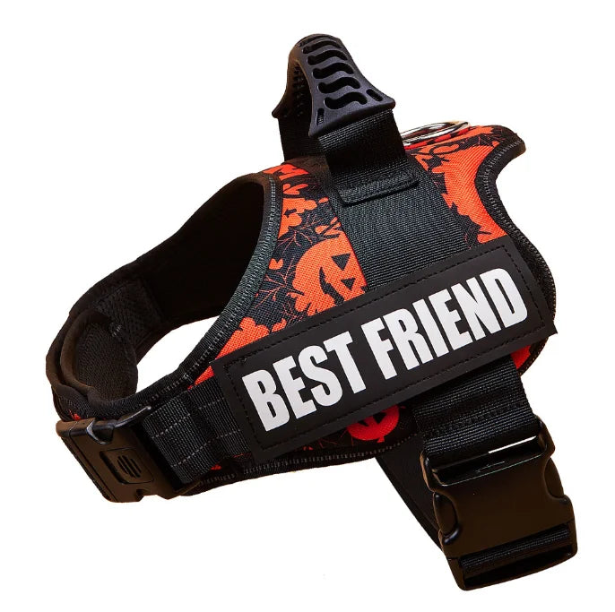 Custom Luxury Dog Harness + Leash | Mini Set
