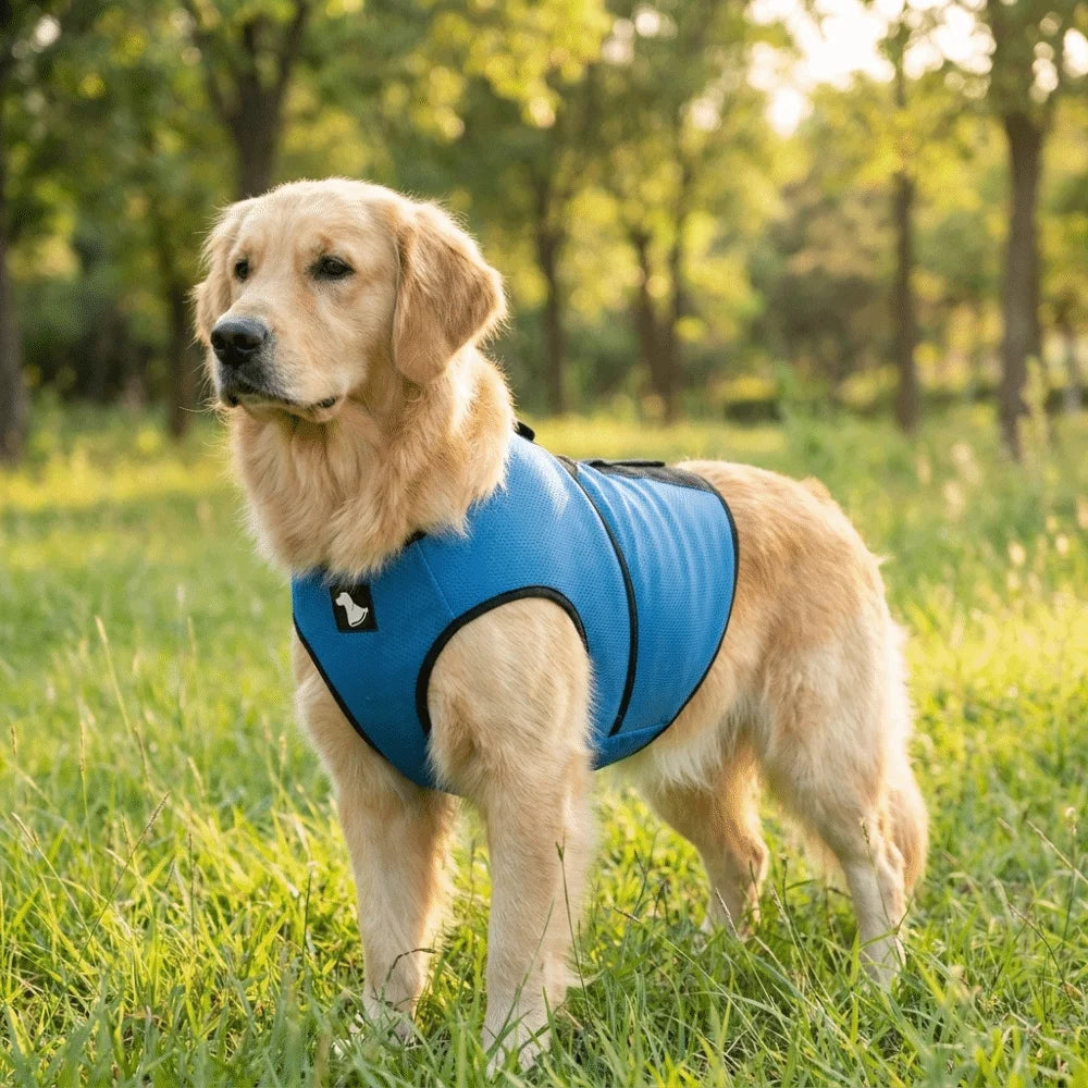 Pet Comfort Clothes Breathable Dog Calming Vest Adjustable
