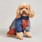 Retro Colorblock Full-Body Dog Winter Suit | Waterproof EB901