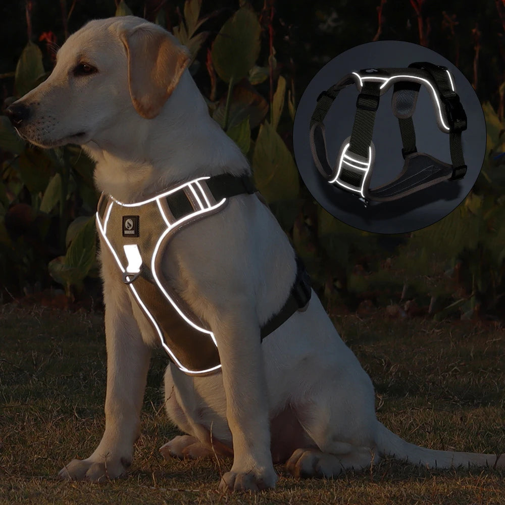 The Trailblazer Tactical Harness