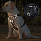 The Trailblazer Tactical Harness