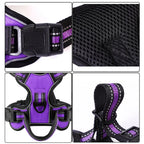 Ergonomic Purple No-Pull Padded Dog Harness