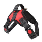 No-Pull Padded Dog Harness with Control Handle