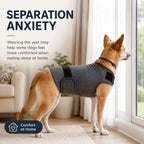 Calming Thunder Vest for Dogs The Calmer