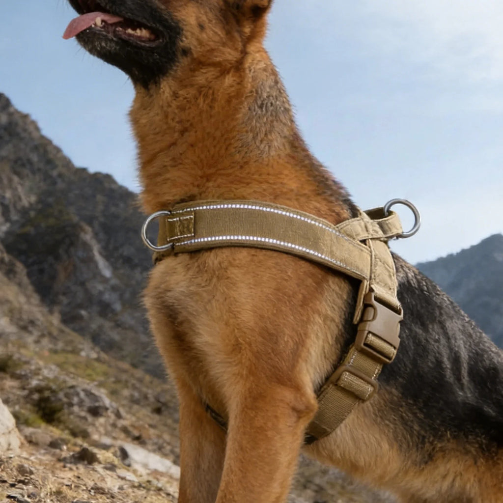 Tactical No-Pull Dog Harness for Large Breed