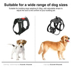 Dog Harness For Camera Soft Adjustable Dog Harness
