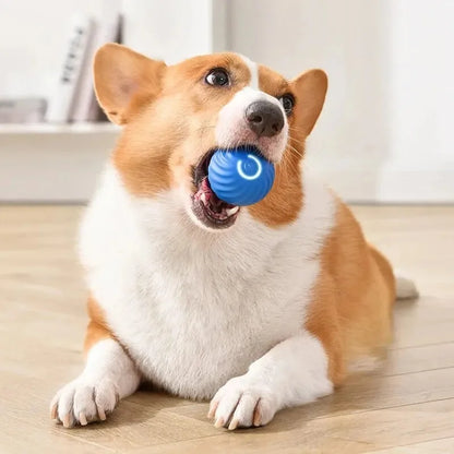 Smart Toy Ball