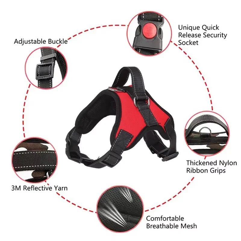 No-Pull Padded Dog Harness with Control Handle