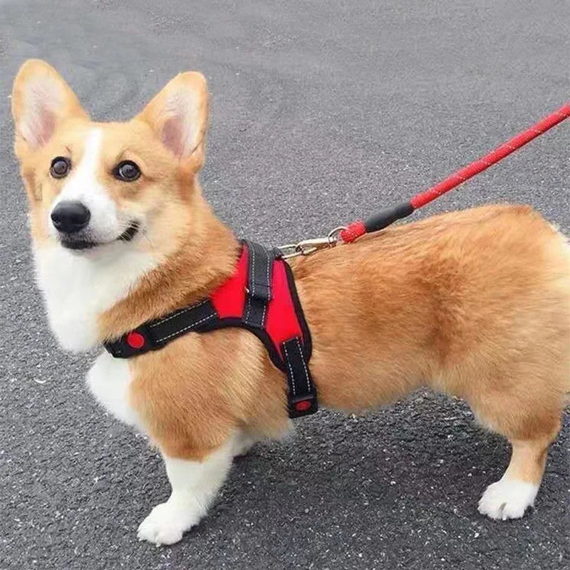 No-Pull Padded Dog Harness with Control Handle