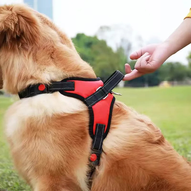 No-Pull Padded Dog Harness with Control Handle