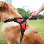 No-Pull Padded Dog Harness with Control Handle