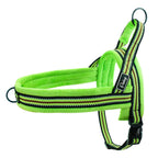 The Cloud-Fit Dual-Clip Harness
