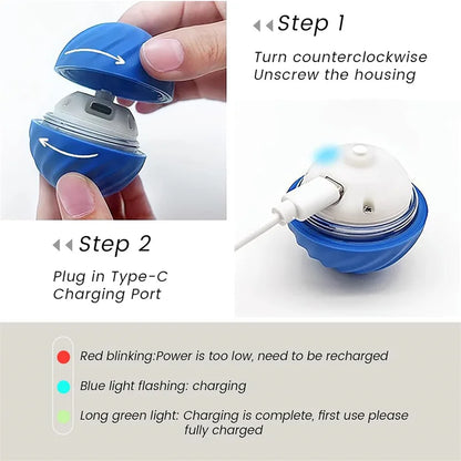 Smart Toy Ball