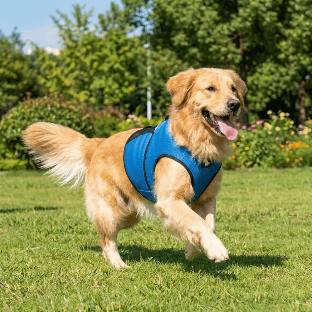 Pet Comfort Clothes Breathable Dog Calming Vest Adjustable