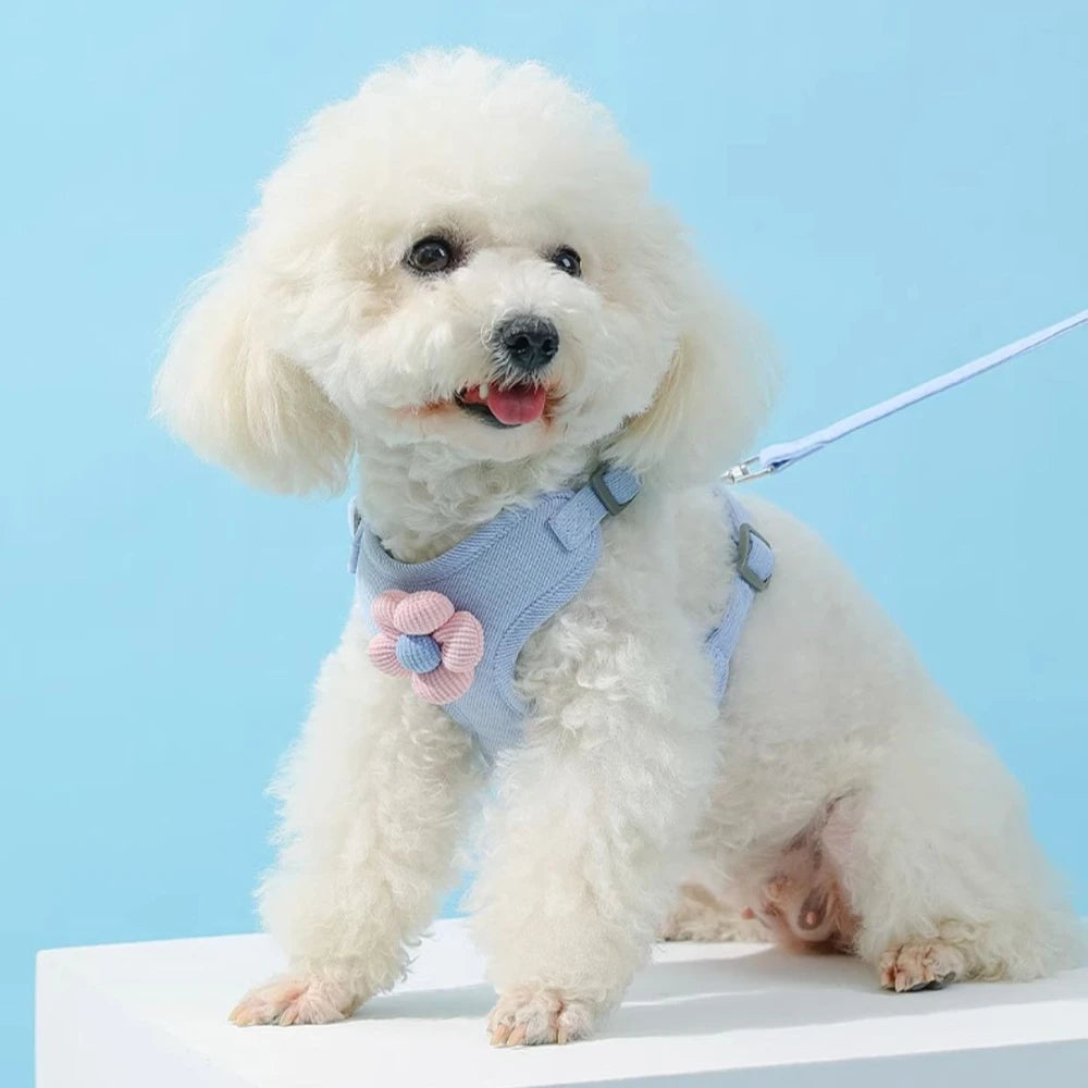 Dog Harness with 1.5m Leash Set Adjustable